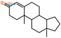 雄甾-4-烯-3-酮